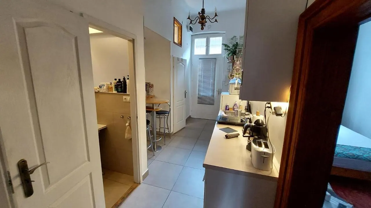 Classical Budapest Apartment In The Old Pest