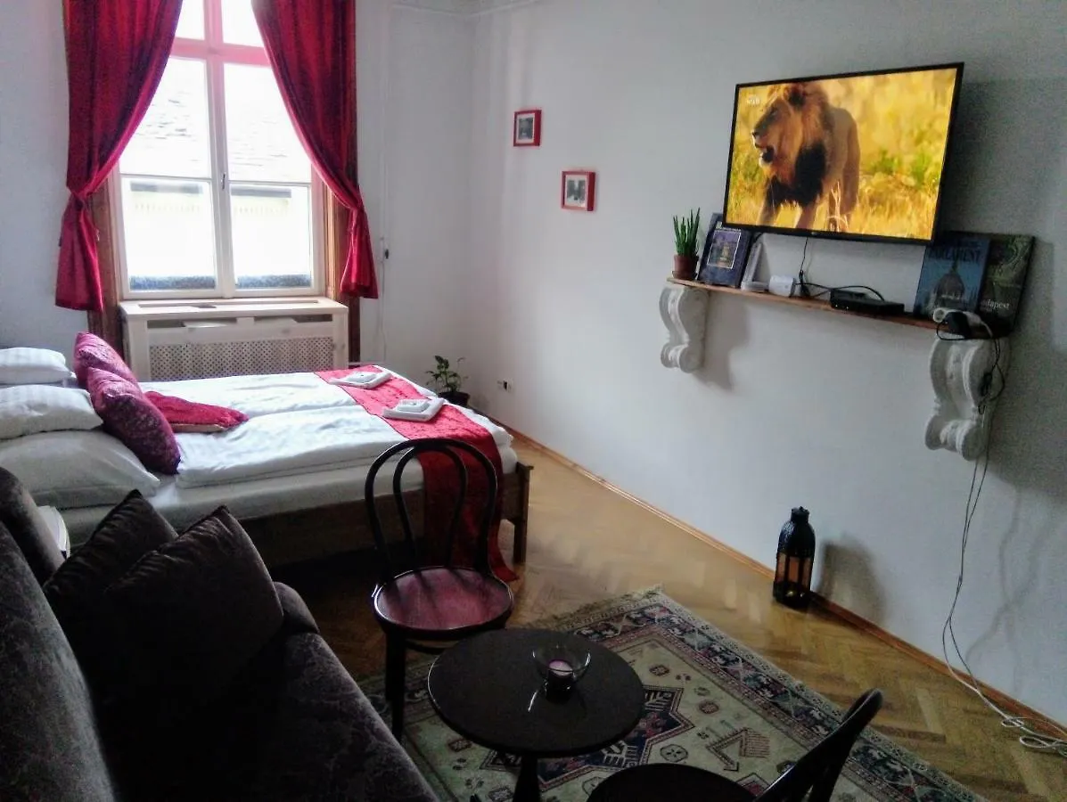 Classical Budapest Apartment In The Old Pest